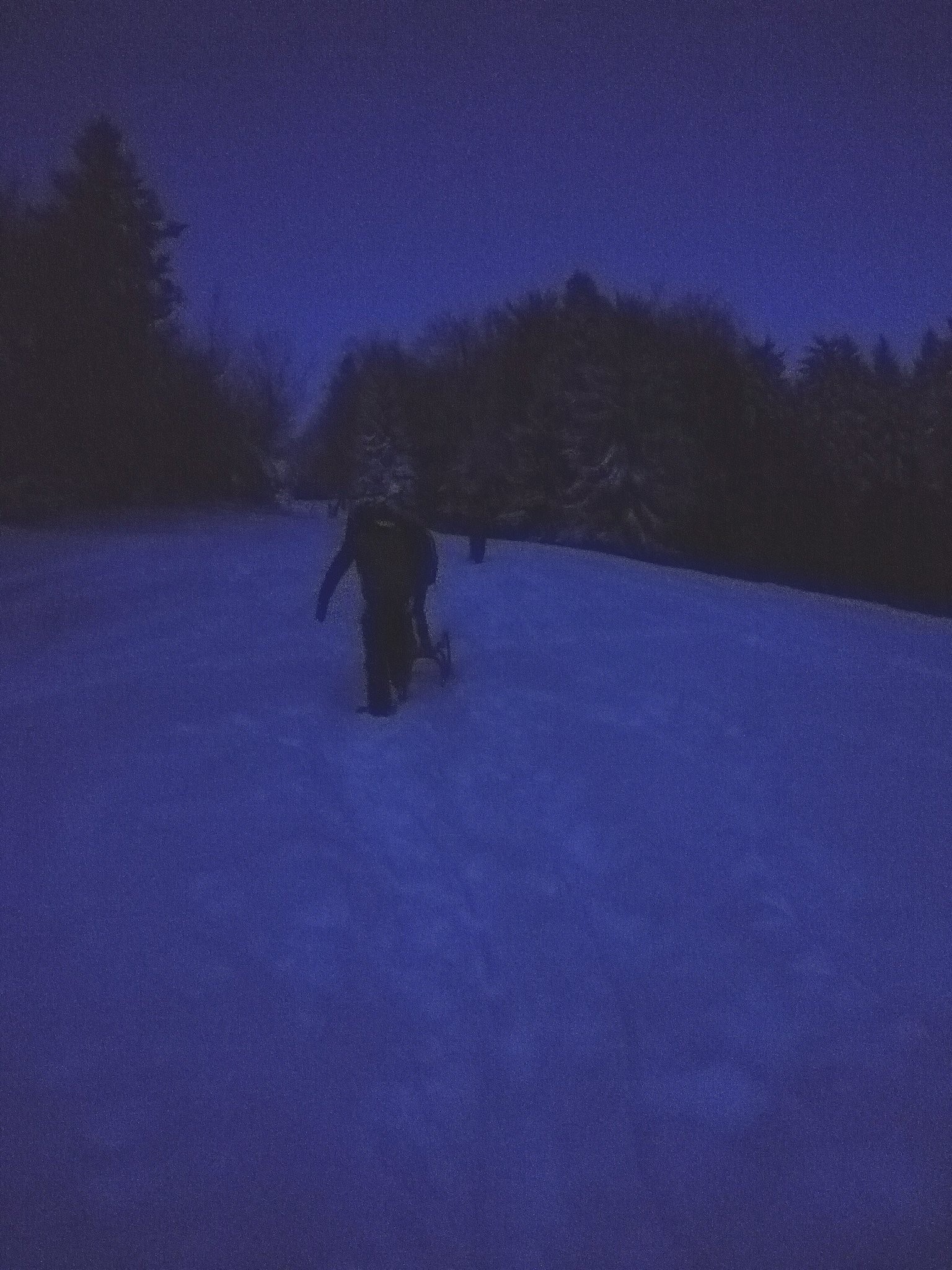 schneewanderung